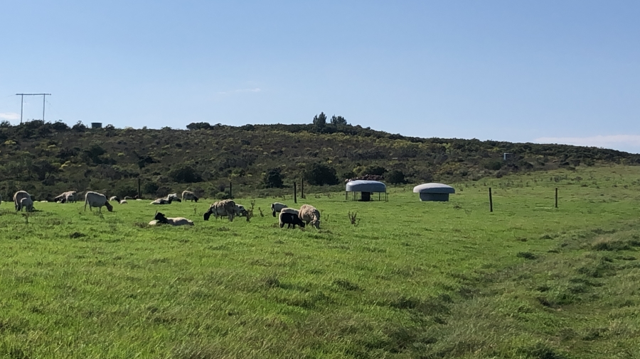 8 Bedroom Property for Sale in Elandsrivier Eastern Cape